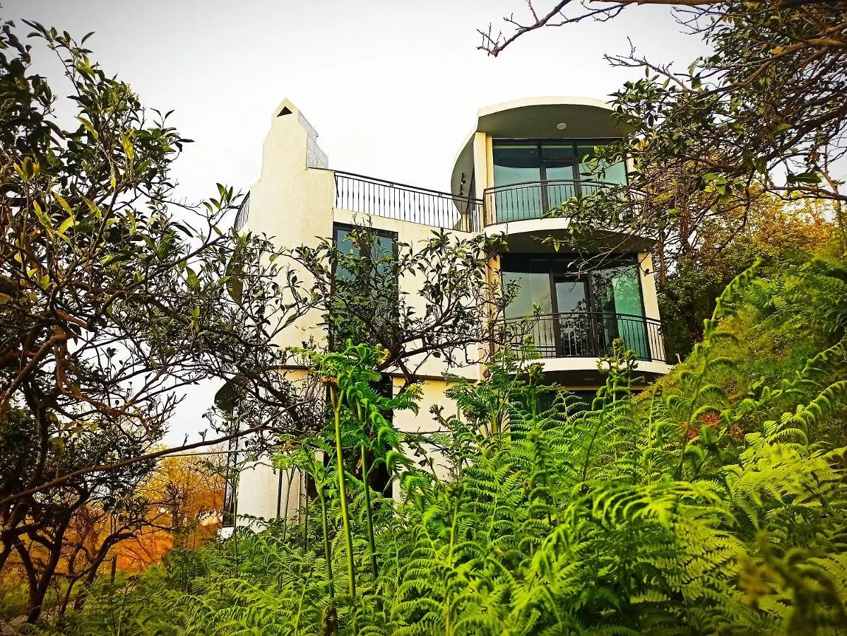 Dream Panorama Villa Batumi