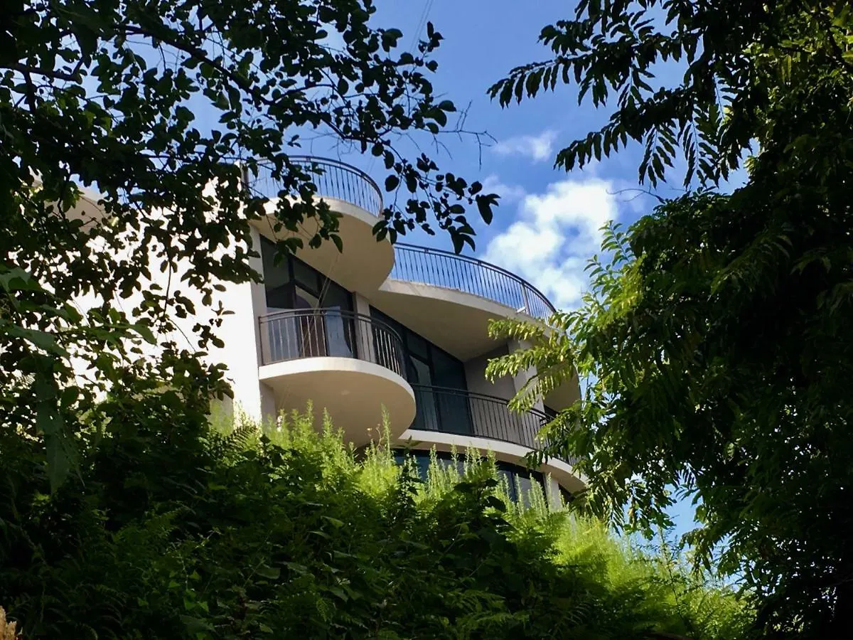 Dream Panorama Villa Batumi