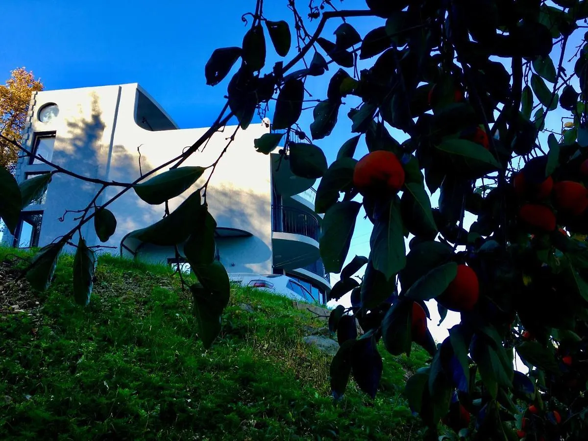 Dream Panorama Villa Batumi Georgien